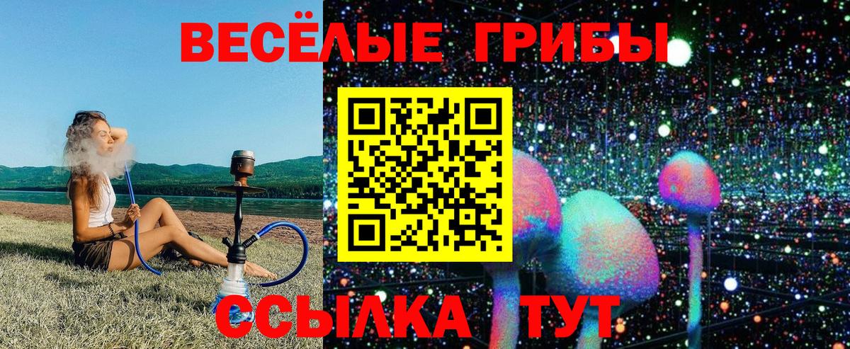 Коряжма  Галлюциногенные грибы прущие грибы  Вход с VPN 