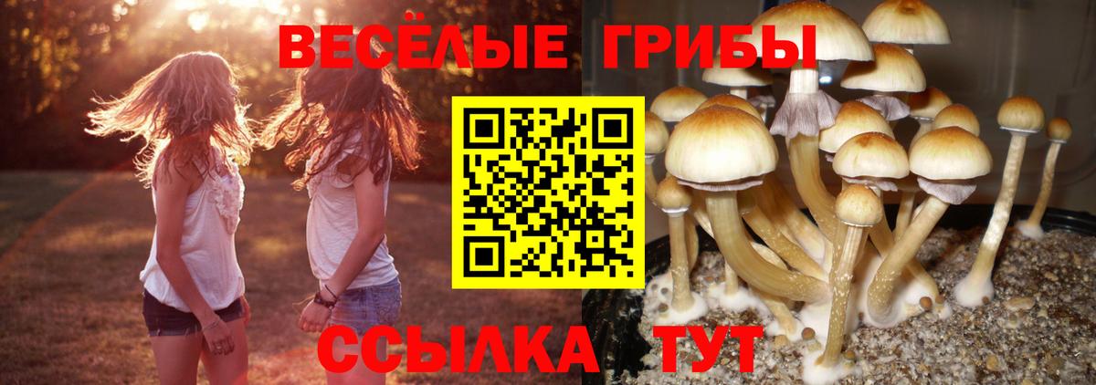 Псилоцибиновые грибы мухоморы Коряжма